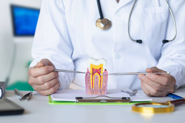 Best Holiday Emergency Dentist in Sherman, IL